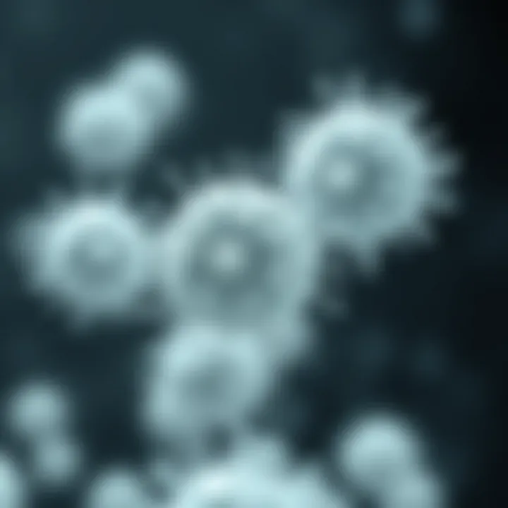 Rapid Bacterial Multiplication in Binary Fission Illustration of bacteria population growth demonstrating rapid multiplication through binary fission