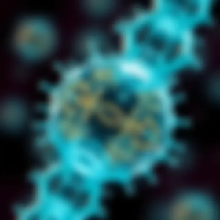 Diagram illustrating the division of a bacterial cell during binary fission showing DNA replication and cell membrane constriction