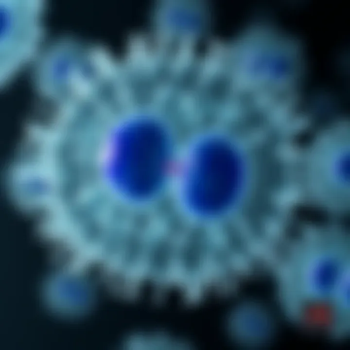 Diagram illustrating the stages of bacterial cell division through binary fission