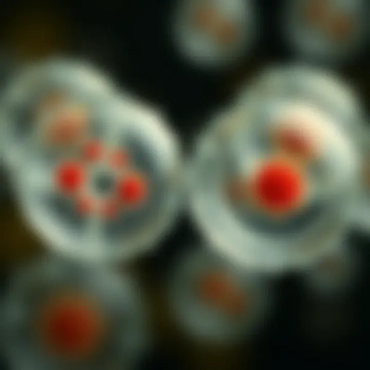 Understanding Binary Fission with Examples