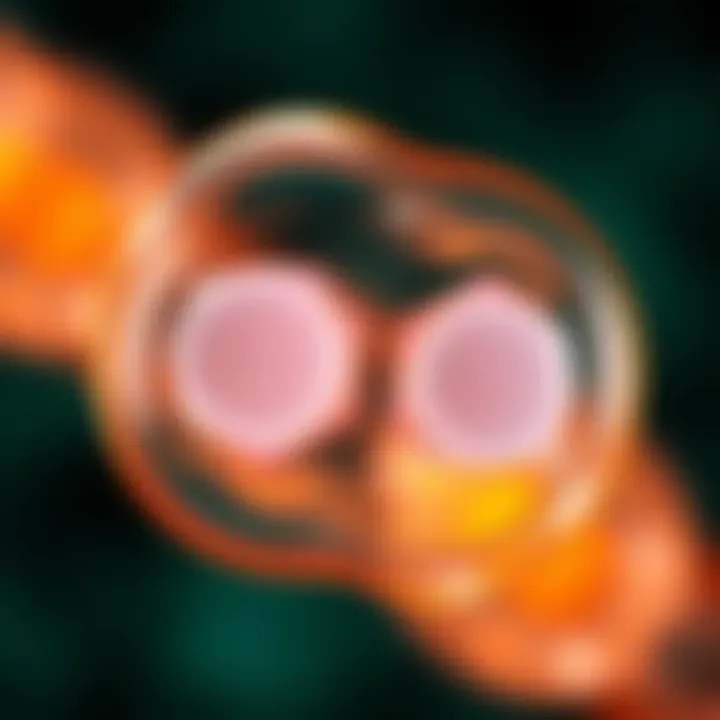 Diagram showing the division of a single-celled organism into two identical daughter cells