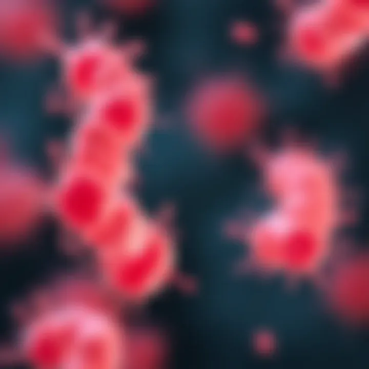 Visual representation showing factors influencing bacterial growth during binary fission