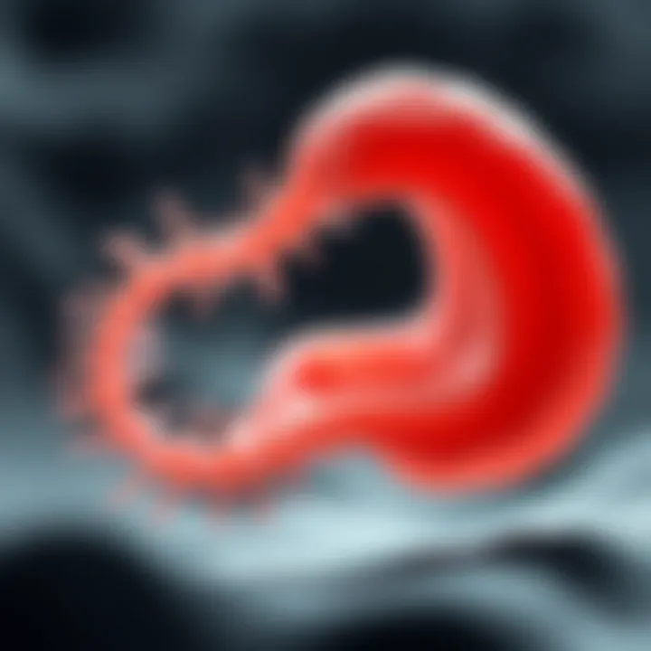 How Amoebas Reproduce by Binary Fission