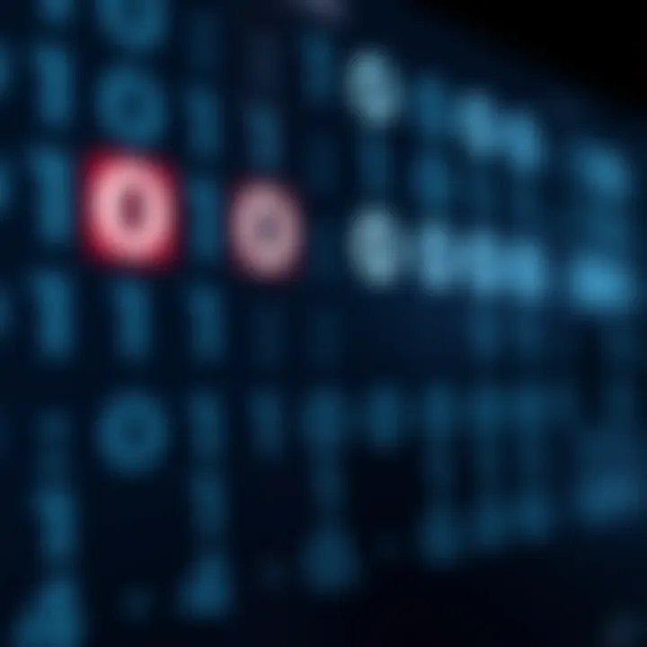 Example of dividing binary numbers with highlighted quotient and remainder in digital format
